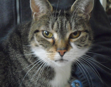 Bobby hat immer genau hingeschaut