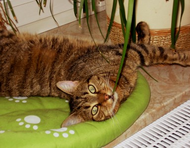 Lieblingsplatz: einer von vielen