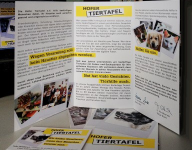 Flyer, Web und Print