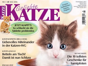 Magazin Geliebte Katze