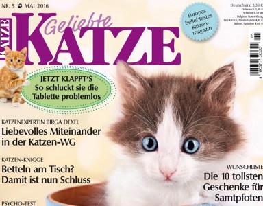 Magazin Geliebte Katze