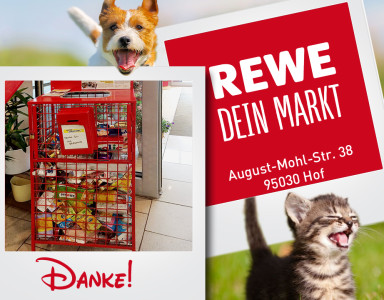 REWE Markt Futterbox