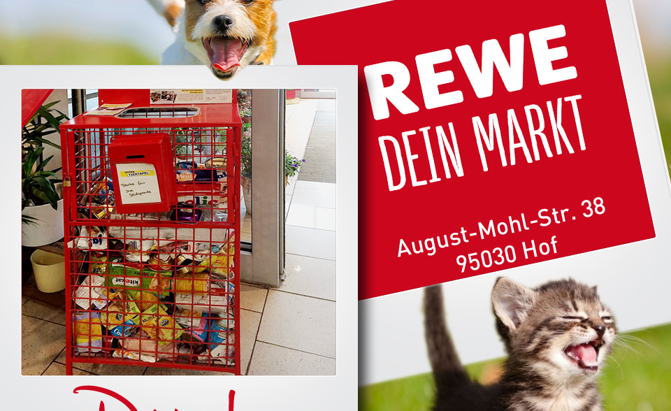 REWE Markt Futterbox