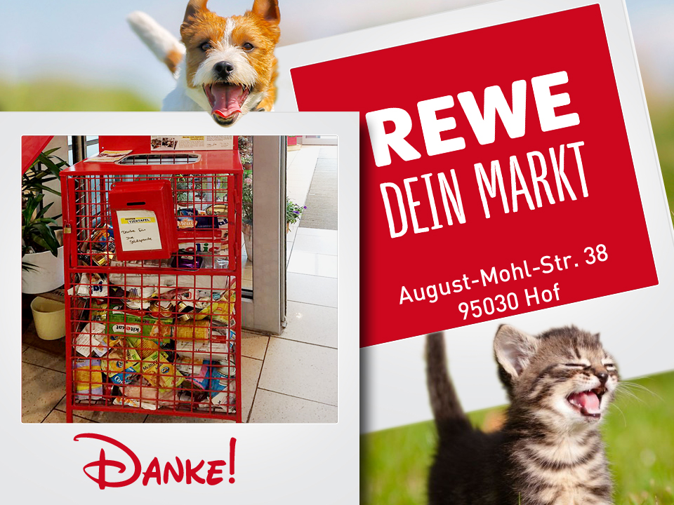 REWE Markt Futterbox