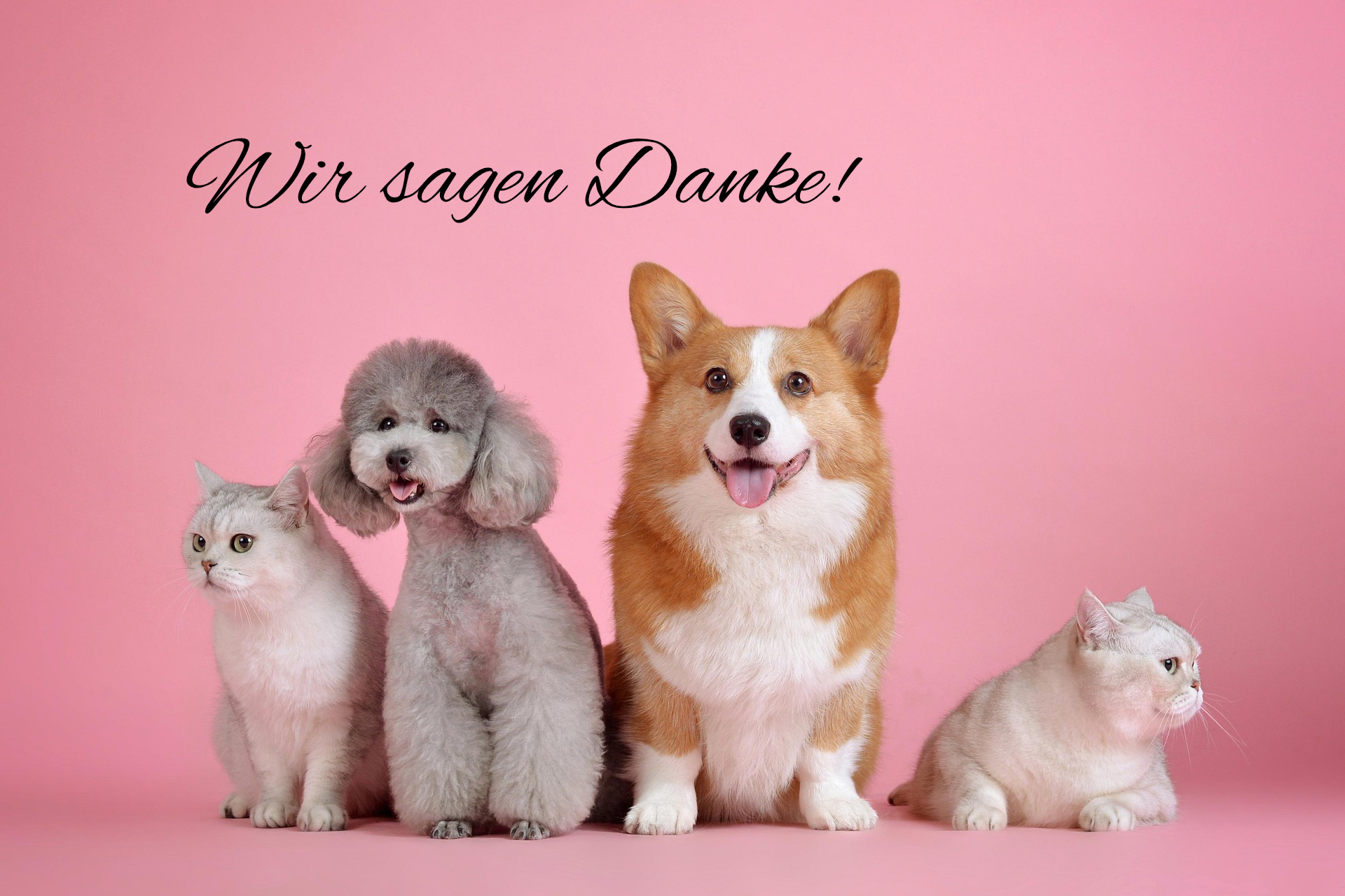 Spenden-Wir-sagen-Danke