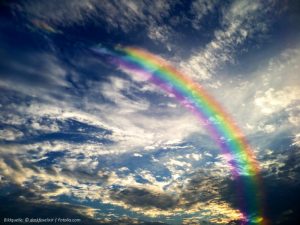 Tanja's Liebe - dort hinter der Regenbogenbrücke